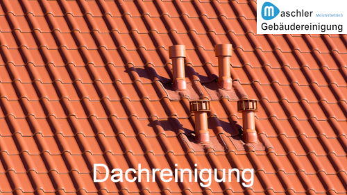 Dachreinigung und Dachbeschichtung