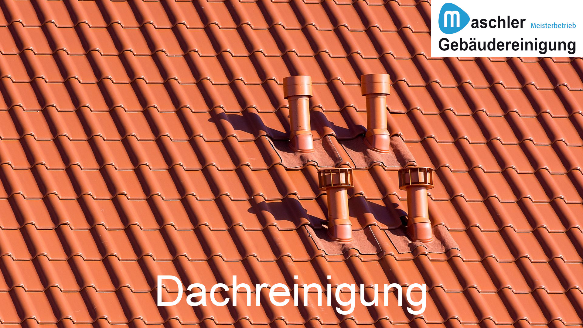 Dachreinigung & Dachbeschichtung
