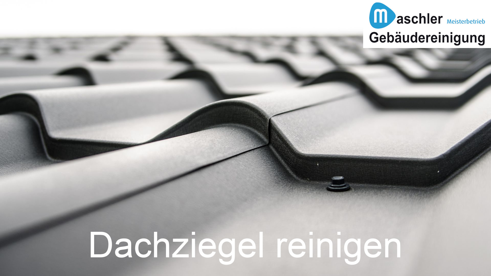 Dachziegel professionell reinigen - Gebäudereinigung Maschler Schwerin