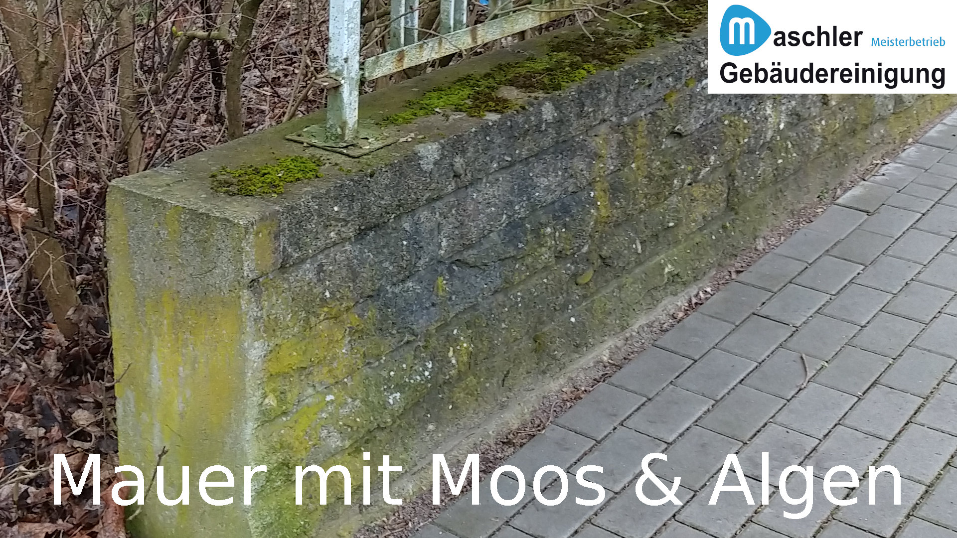 Mauer mit Moos - Gebäudereinigung Maschler Schwerin