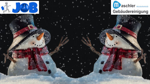 Minijob: Reinigungskraft (m/w/d) Winterdienst Neubrandenburg - Minijob 14,25 €/Std.